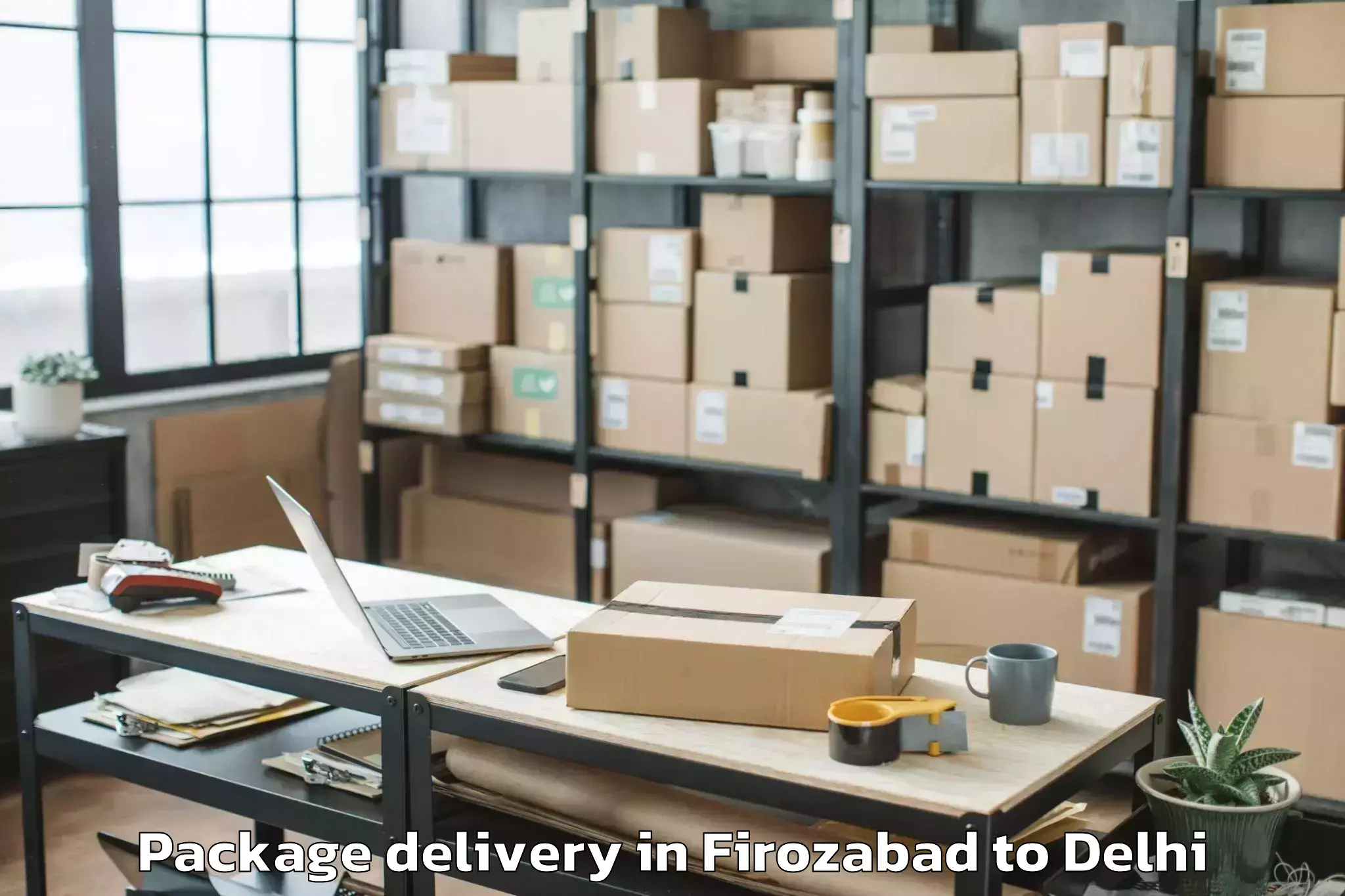 Book Firozabad to Delhi Technological University Package Delivery Online